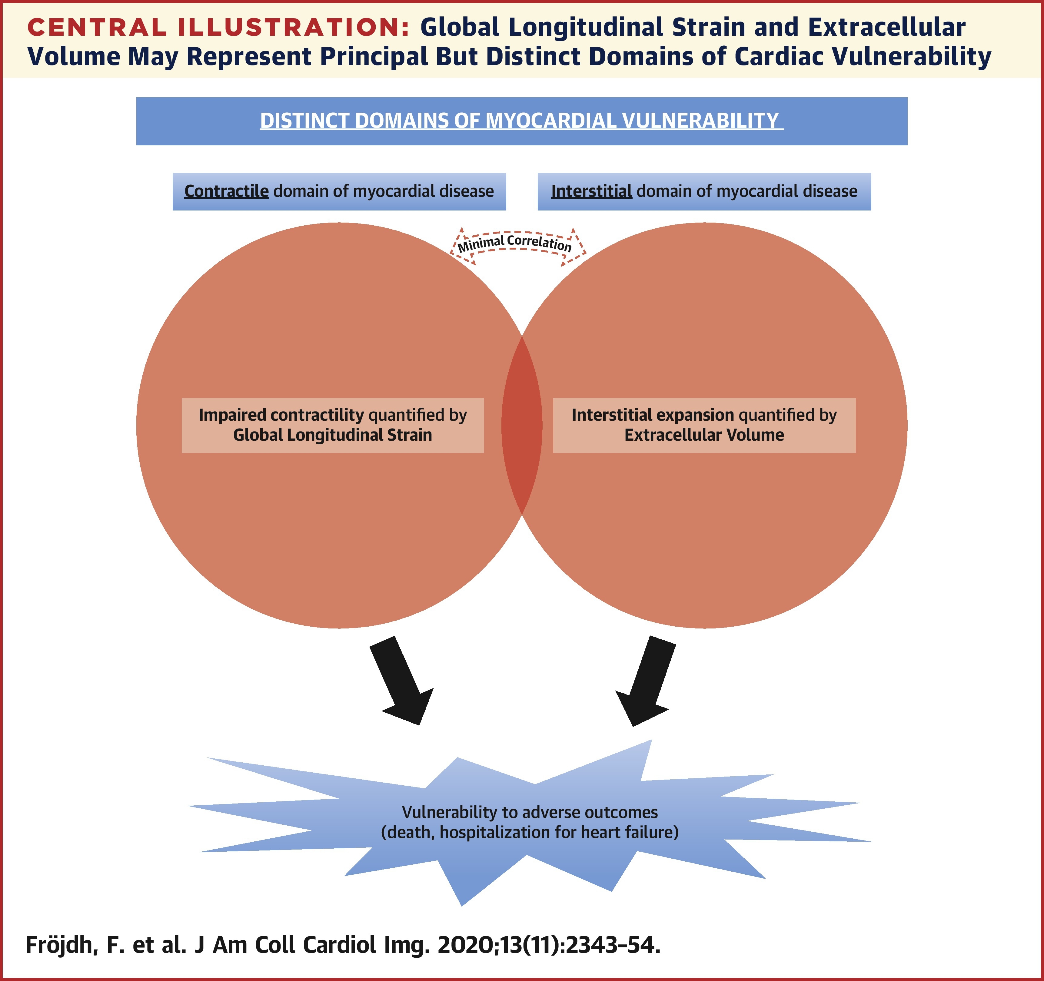 global longitudinal strain