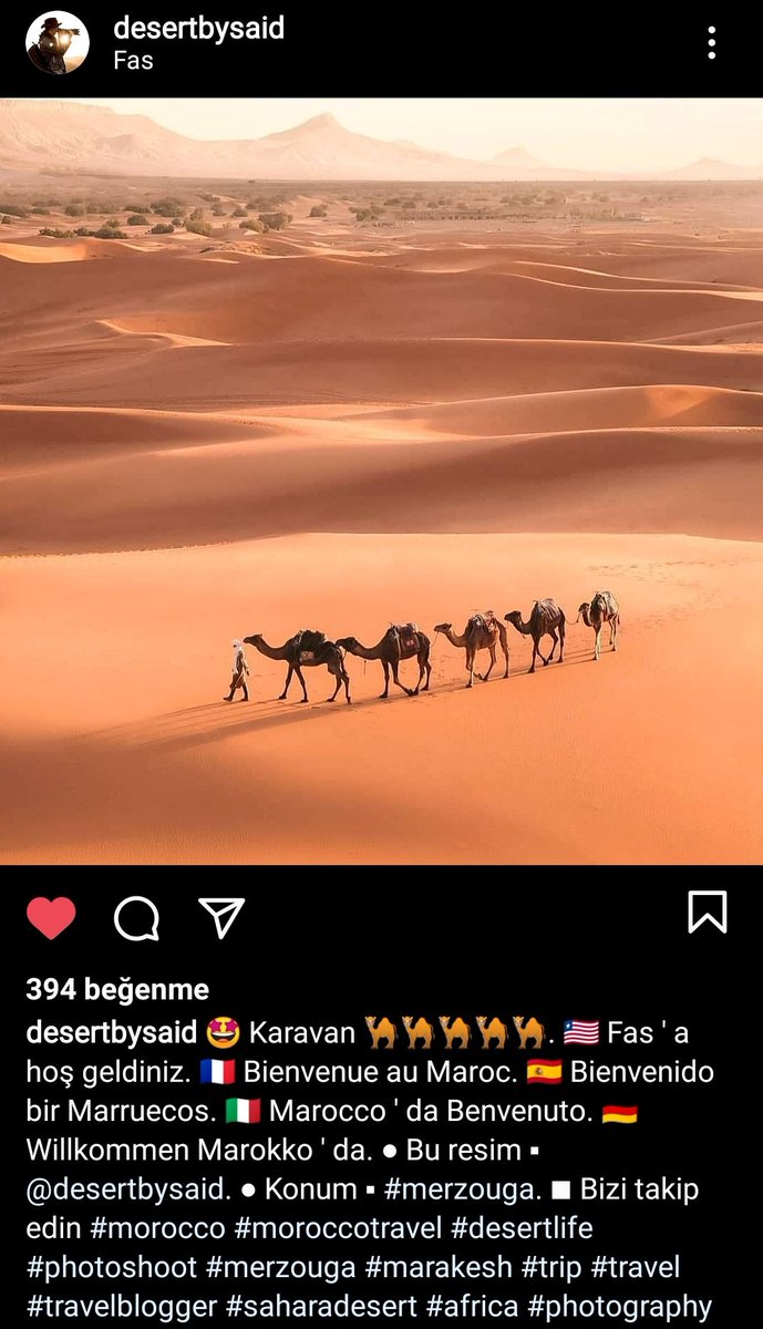pemmbe's tweet photo. Çöl severlere.. İnstagram sayfası. https://t.co/MkhbxuDjoN