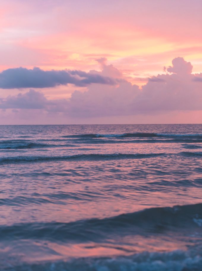 emilyshoots's tweet photo. scenes from my favorite sunsets from the past few months https://t.co/WsuchfbkoU