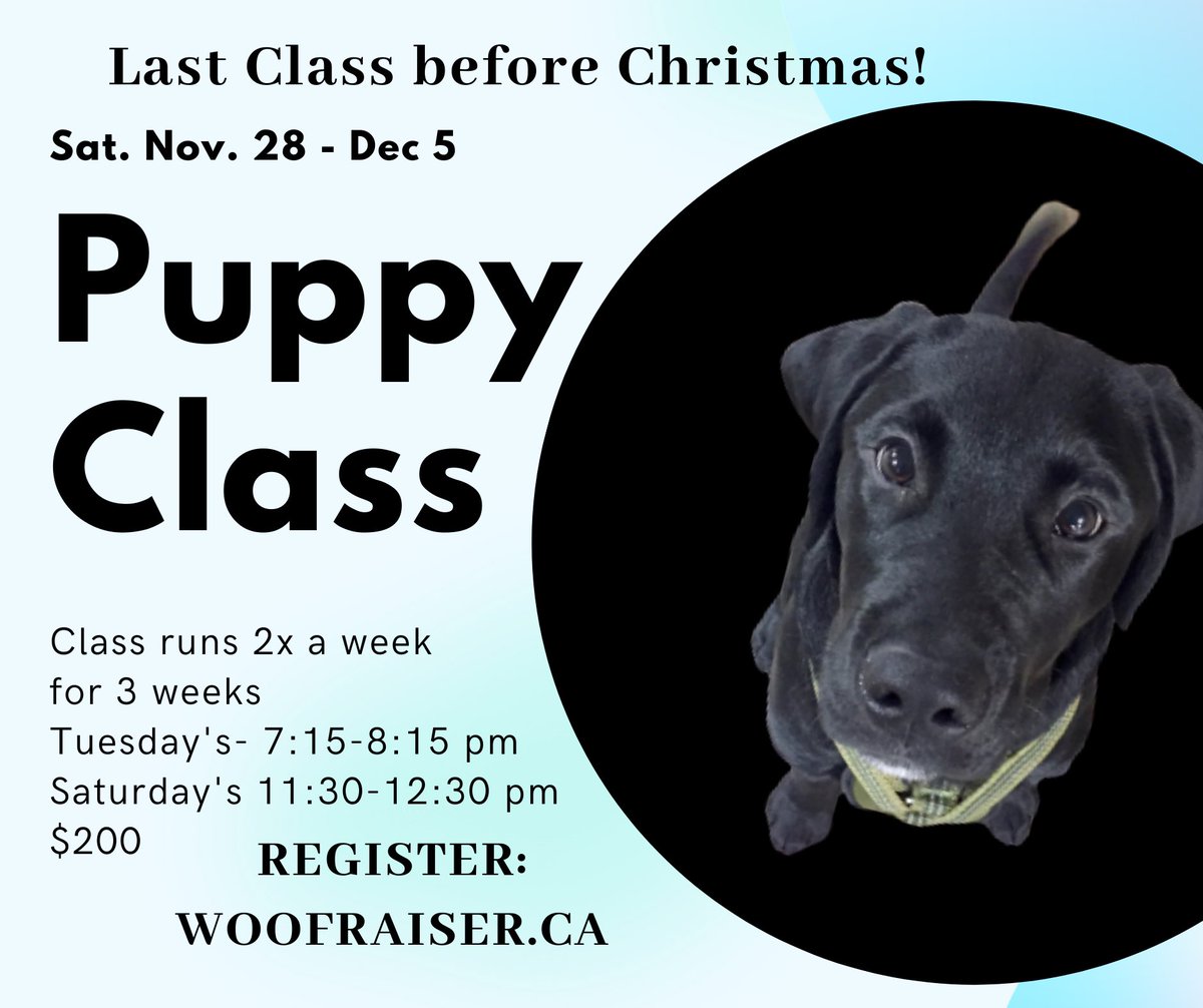 Woofraiser's tweet photo. Got a new Pup?  Sign up for this Class! https://t.co/xXGk4kvc6e