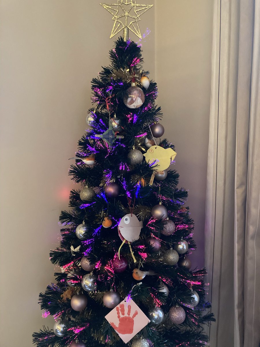 dawnewildash's tweet photo. #itsbeginningtolooklikechristmas# 🎄 https://t.co/HuqJOzQlVg