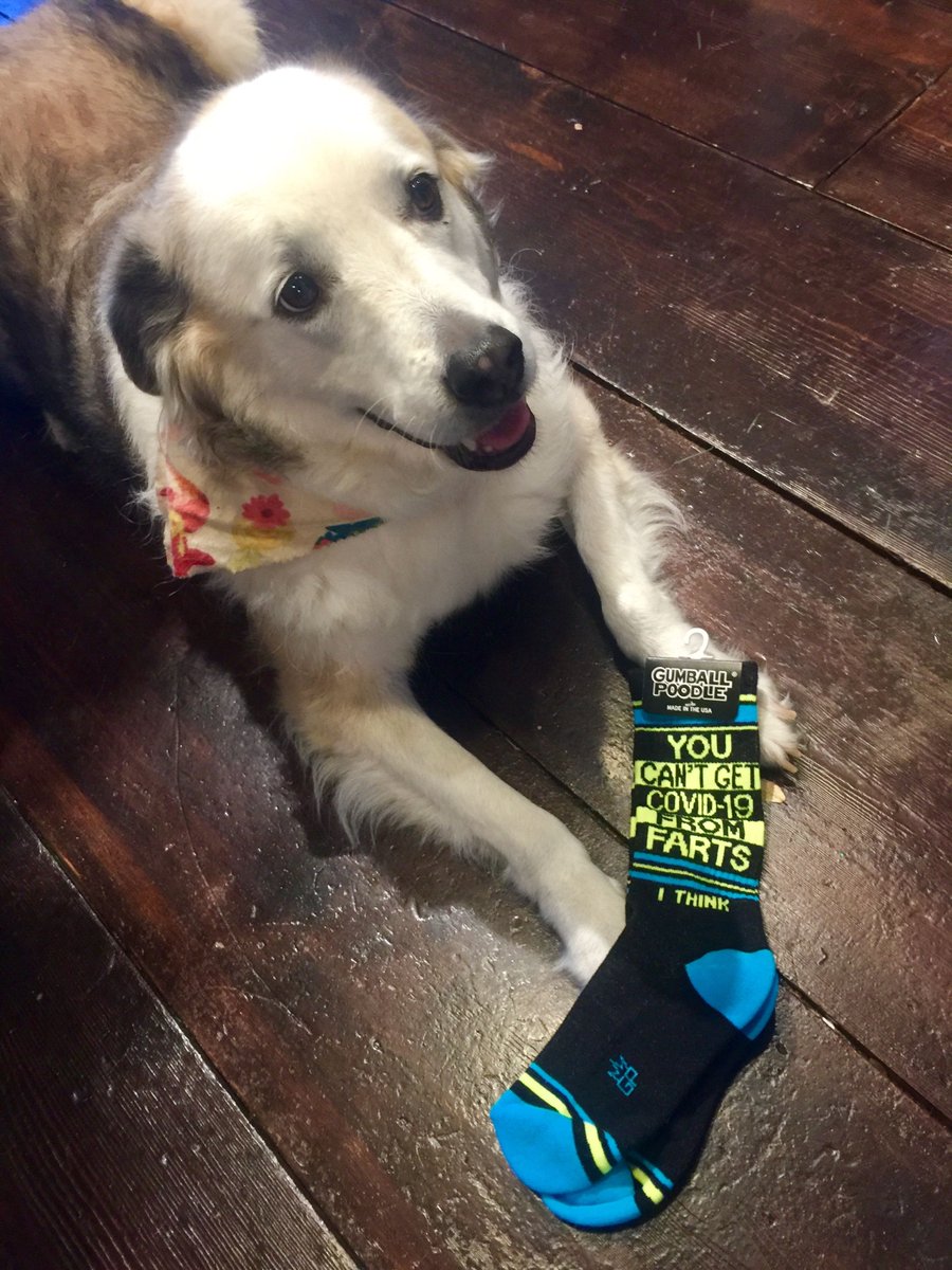 Fete-ish tweet media