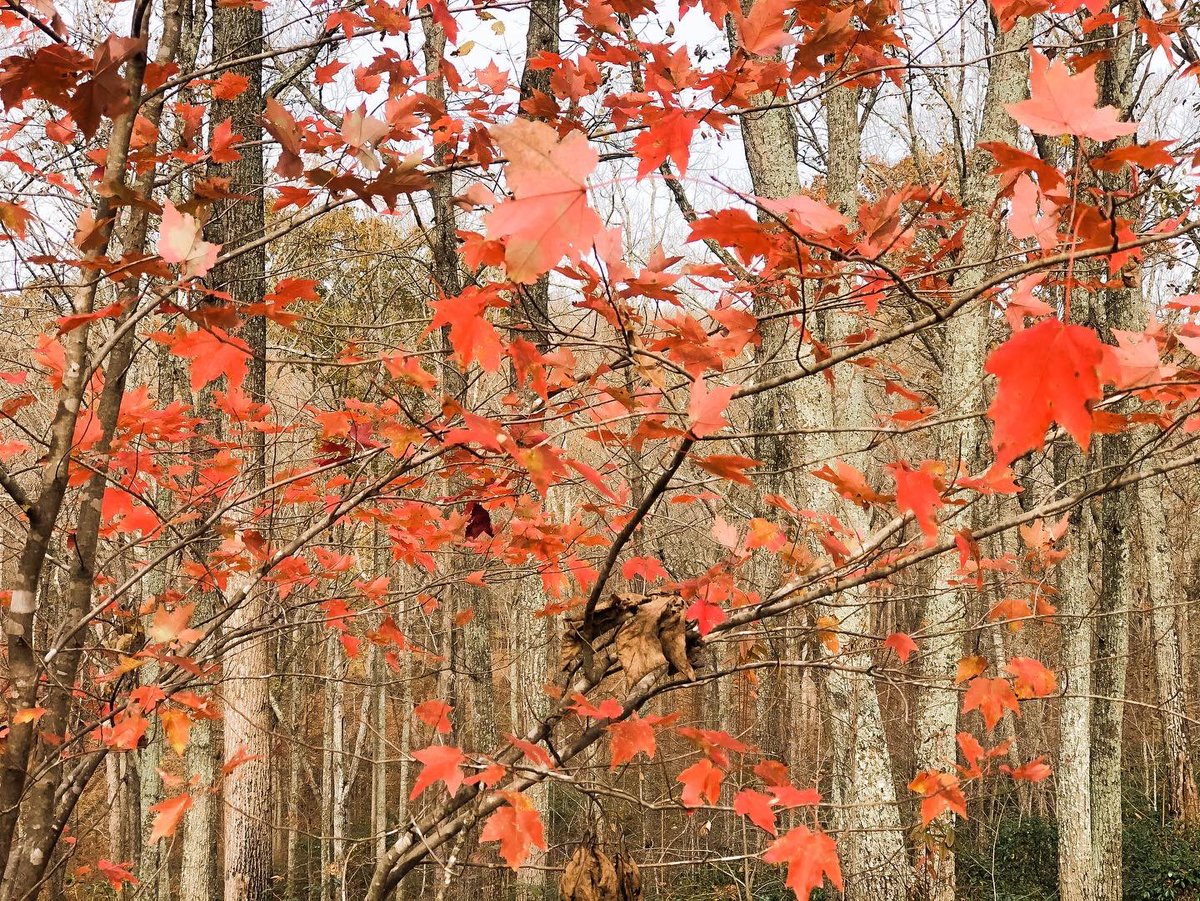 #TRAVEL TIP: Don’t forget to stop and #explore