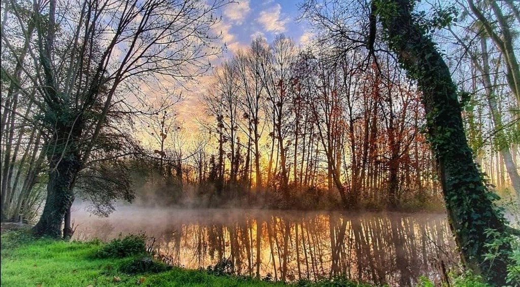 igersNiort's tweet photo. Bonsoir amis Igers.
Pour notre sélection de ce dimanche soir, @fmagg79 nous emmène en promenade sur les bords de la Sèvre Niortaise, merci pour ce partage. 

Les tags : 
#igersniort 
#igersdeuxsevres 
Sélection : @etod79
À suivre : 3 coups de ❤️ en Story… https://t.co/m6JCMwify3 https://t.co/J2g9CTZqLo