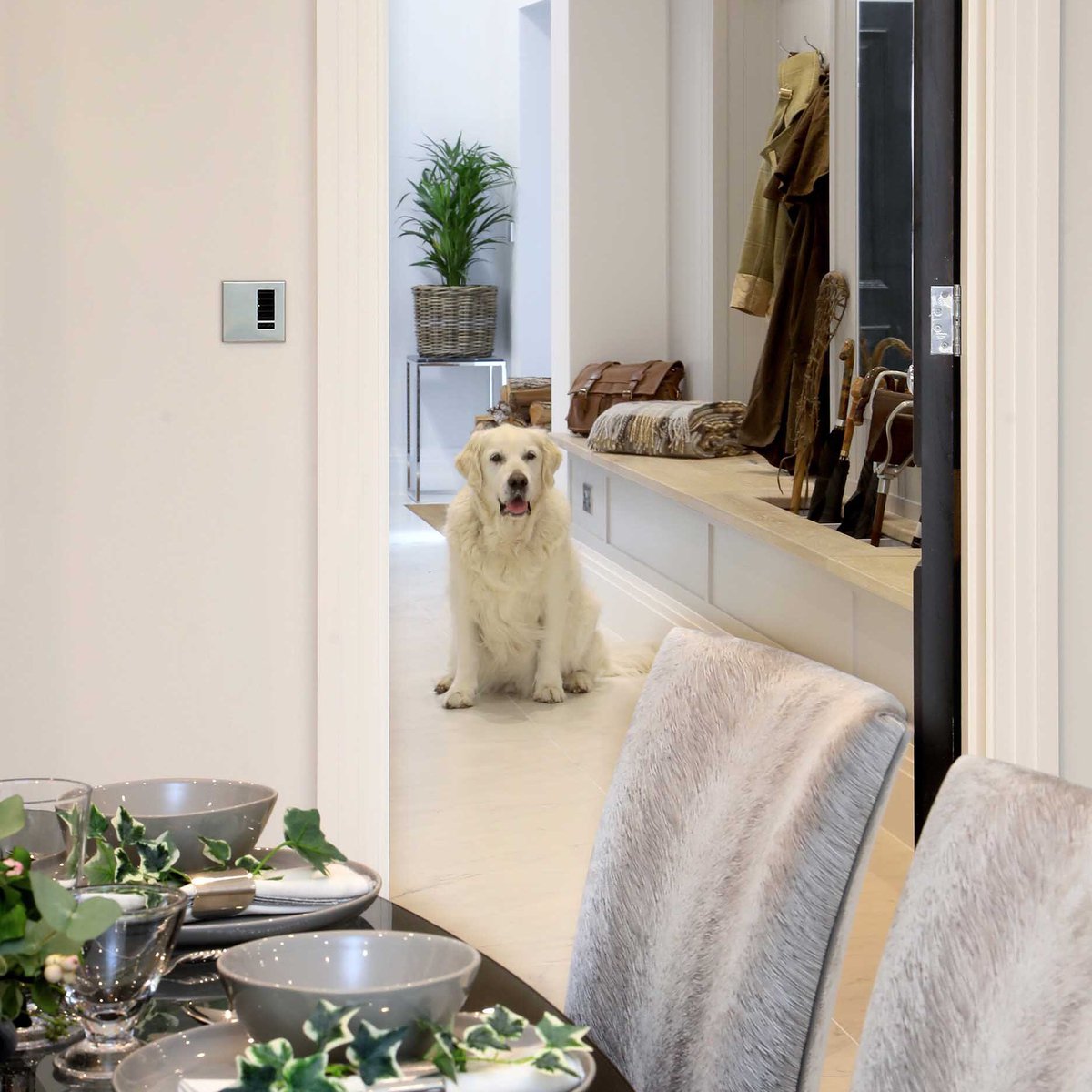Oakeve Interiors tweet media
