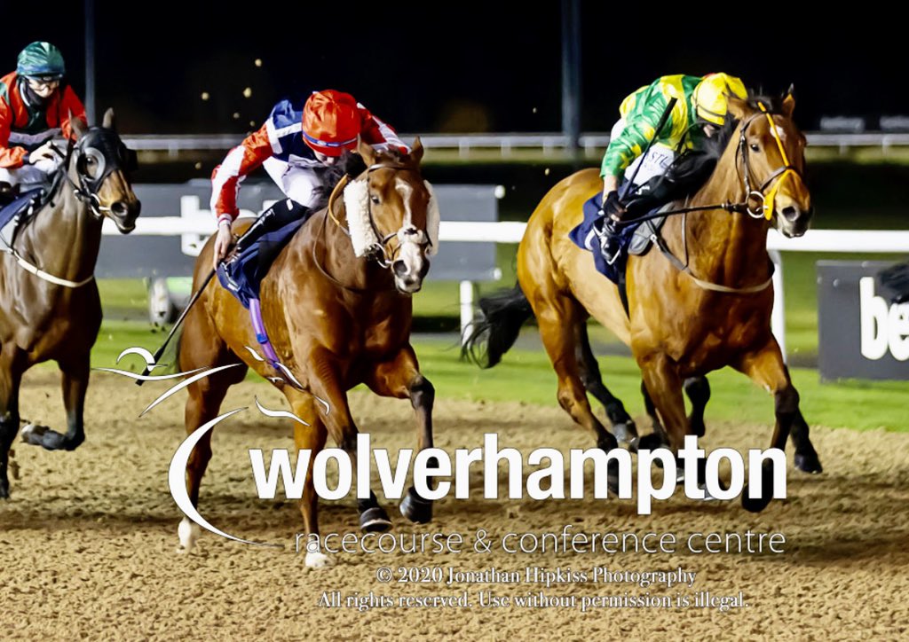 DaveLoughnane_'s tweet photo. A 7th course win and 9th career win for the ageless Critical Thinking @WolvesRaces under a textbook ride from @Rossaryan15. Big well done to all the team and his owners @JamieRocke. #SundayWinners #WinnersAreGrinners #Getinvolved ππ₯ππ₯ https://t.co/C8Hez3wBFi