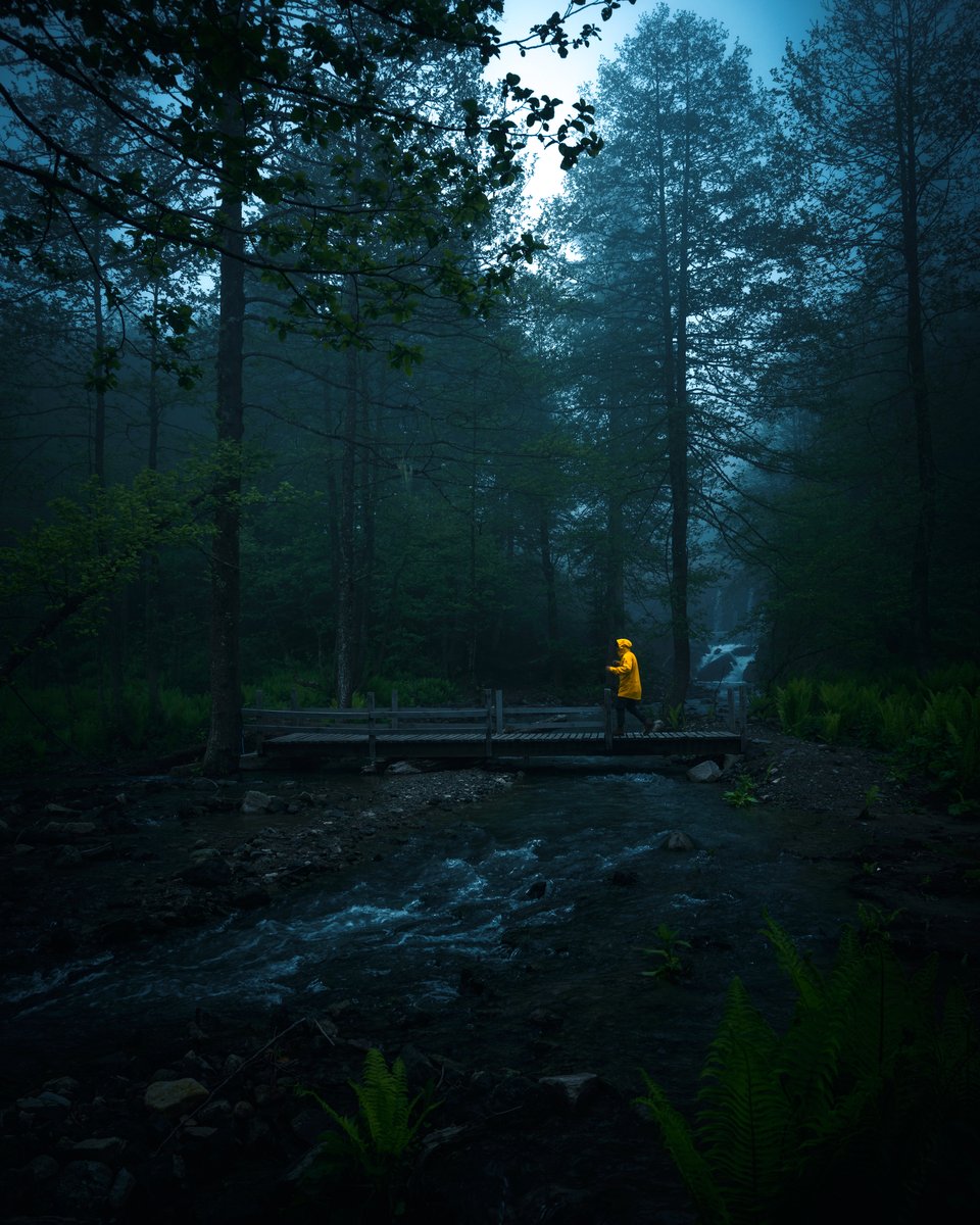 I am a forest and a night of dark trees 

#folkgreen #livefolk #shotz #travelphotography #folkscenery #earthpix #folkgood #artvin #karagöl #borçkakaragöl #ourplanetdaily #discoverearth #naturelovers #adventurealways #sonyalpha #photographysouls #roamtheplanet #modelwanted