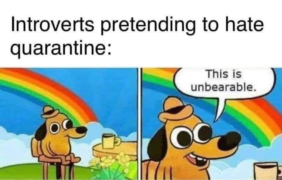 smithr88's tweet photo. It is still hard for introverts, but we can deal. #introverts #humor4healing https://t.co/XJWajVfPYl