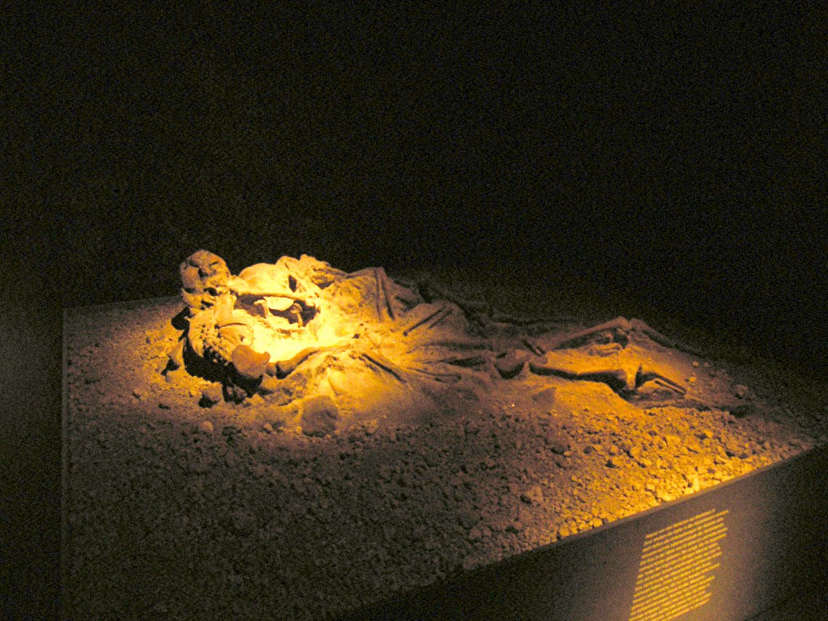 Ranaroth2's tweet image. Burial from Herculaneum. Pergamon Museum. 12.2005. #Berln #Germany #museum #Herculaneum #burial #grave