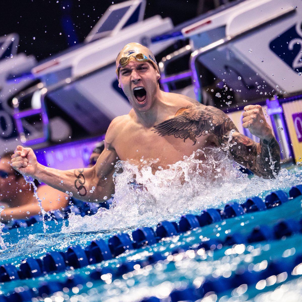 speedo's tweet photo. 💥World Record 💥
@caelebdressel sets a FOURTH World Record at ISL 🤯
100 IM in 49.28
#TeamSpeedo #Speedo #GlowAgain #ISl #ISL2020 https://t.co/XjZVpOZxBb
