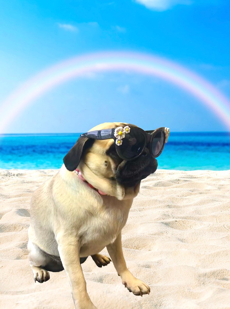 SUN50com's tweet photo. Myrtle Knows #OcularMelanoma is for real. To protect your eyes, look for #sunglasses that block 99% to 100% of both UVA and UVB rays. Reduce #UVexposure and get your eyes checked! Learn more here - https://t.co/FSCj32jXnM #Sun50 https://t.co/t2fzaGD8no