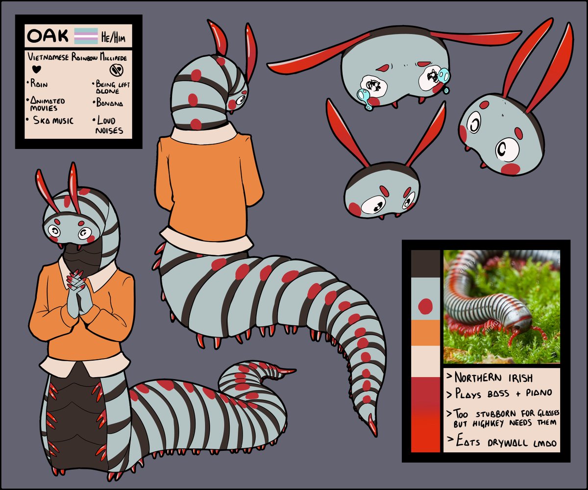 dad_cetemol's tweet photo. Not to be furry on main on my primarily furry account but millipede time

#buganthro #millipede #artist #under100gang #smallartist https://t.co/yaPUeeT77b