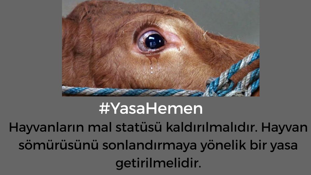 HKolektifi's tweet photo. #YasaHemen https://t.co/ZME6jRCQEX