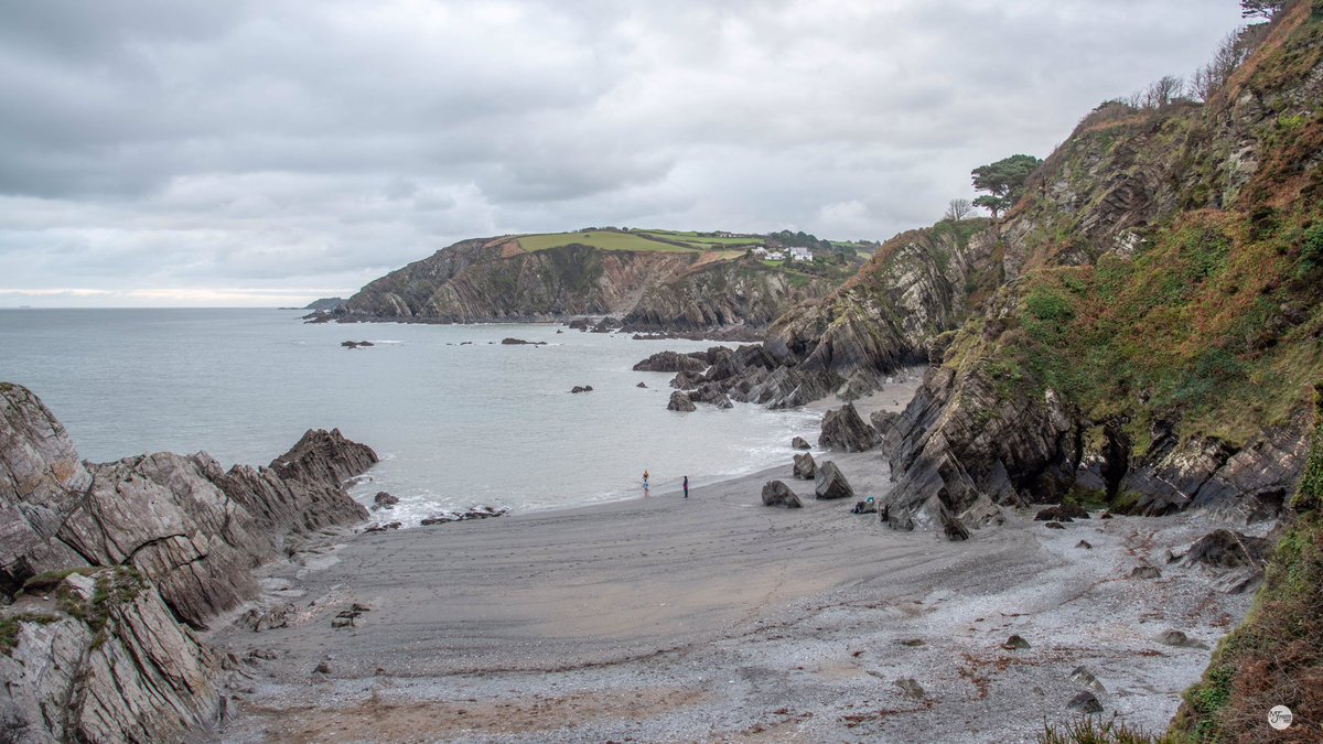 mcsparkyj's tweet photo. Some pictures from a walk around #leebay earlier.  Beach = Sandy Cove 🌊🐈 #lee #northdevon https://t.co/R68dJ6dlLY