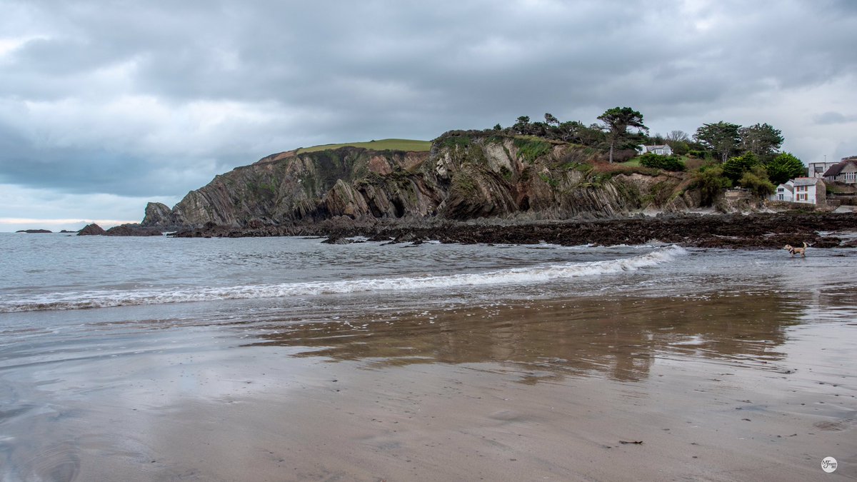 mcsparkyj's tweet photo. Some pictures from a walk around #leebay earlier.  Beach = Sandy Cove 🌊🐈 #lee #northdevon https://t.co/R68dJ6dlLY