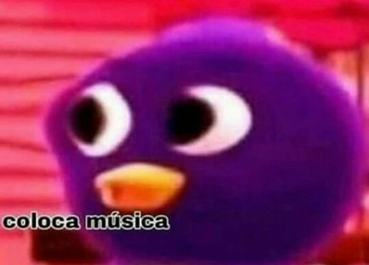 hiyor081's tweet photo. *sequestrador me coloca no carro*

eu: https://t.co/Xz7g4kTOtc