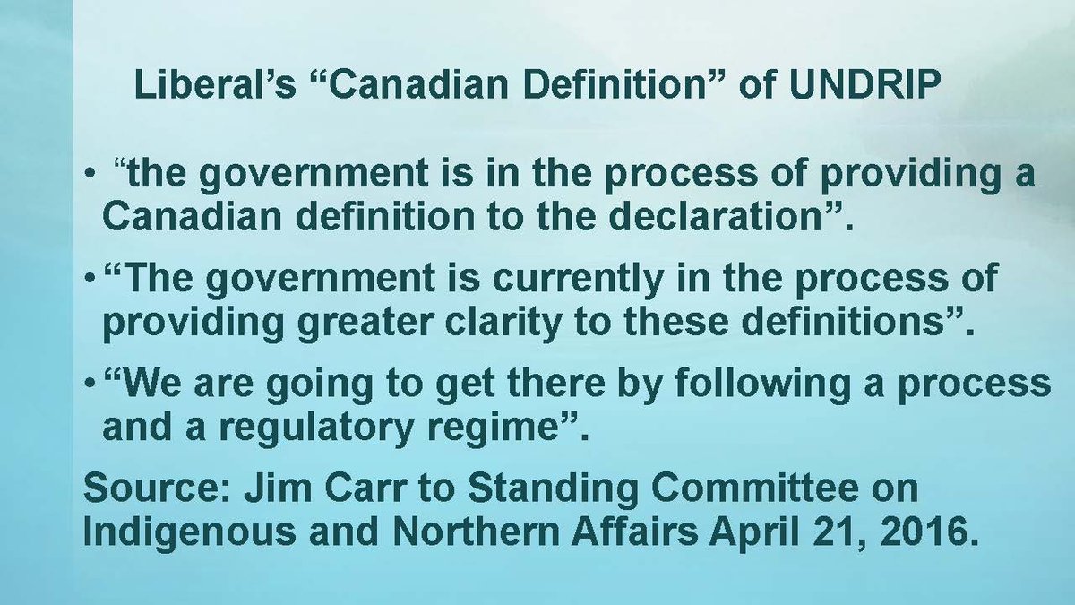 RussDiabo's tweet image. In 2016, at UN feds INAC Minister, Carolyn Bennett, announced qualified support 4 UNDRIP via Canadian definition (Nat’l Termination Plan), in 2017 at UN @KanahusFreedom unmasks Bennett &amp;amp; in 2018 Trudeau gov’t announces federal purchase of Kinder Morgan Pipeline ignoring FPIC!