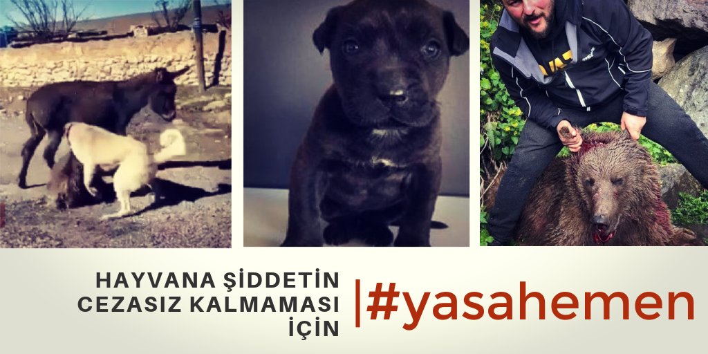 ARTIK YETER! NEYİ BEKLİYORSUNUZ?

Hayvanlar "insanlar" tarafından sistematik bir şekilde tacize, tecavüze, fiziksel şiddete, işkenceye ve katliama maruz bırakılıyor, TBMM izliyor! 

Aylardır TBMM Başkanlığı çekmesinde bekleyen Hayvan Hakları Yasası neden çıkarılmıyor?
#YasaHemen