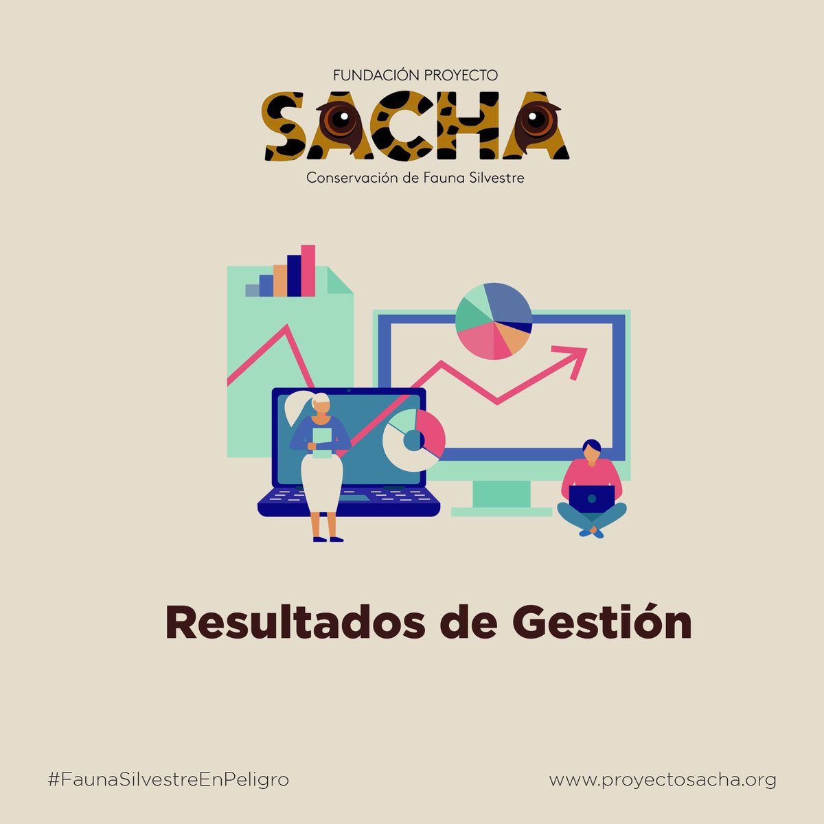 ProyectoSacha's tweet photo. Lo que empezó como una iniciativa de ayuda a un ocelote y se convirtió en Fundación, mientras necesiten ayuda, aquí estaremos. Por la conservación de la fauna silvestre #ProyectoSacha https://t.co/Eb5rebOfLI