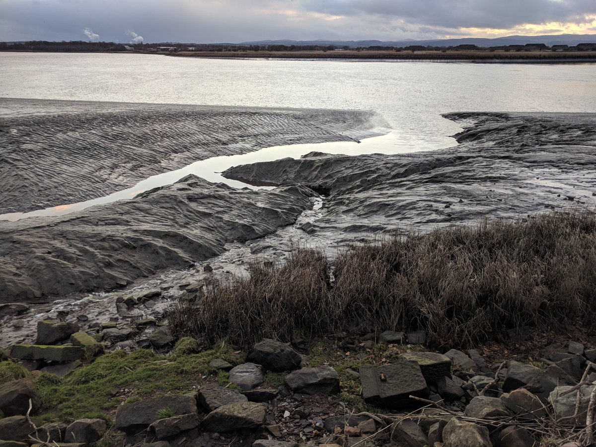 norahmoo's tweet image. Estuary mud, low sun, chilly wind, geese in the distance...#stayinglocal #weecounty
