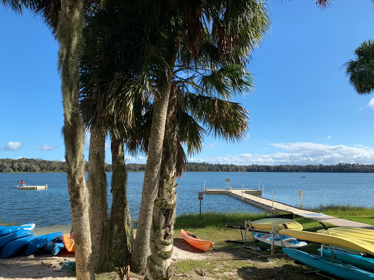 Cameron Newbauer tweet media