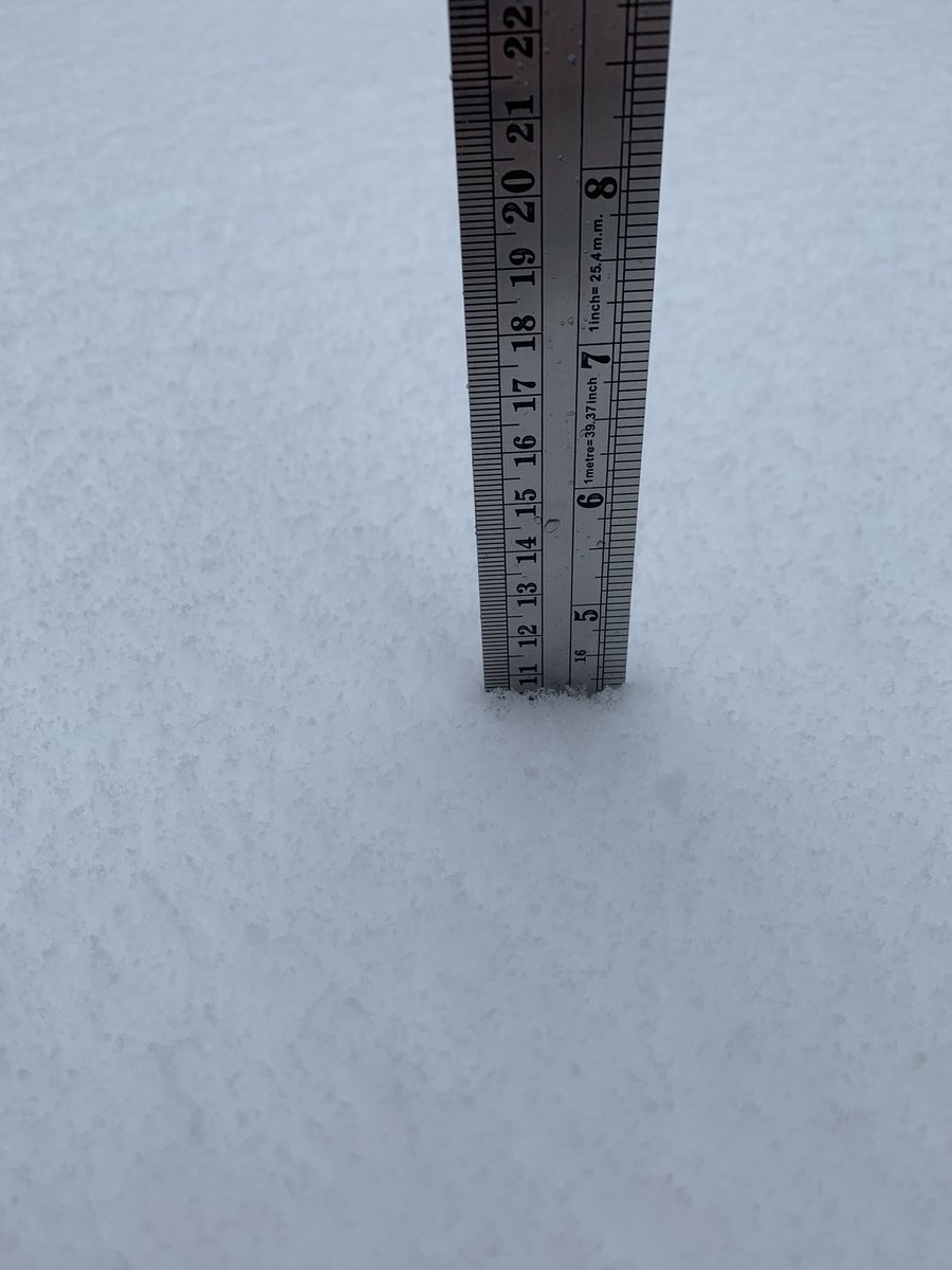 10.5 cm of snow measured in northeast Brampton as of 1pm. #onstorm