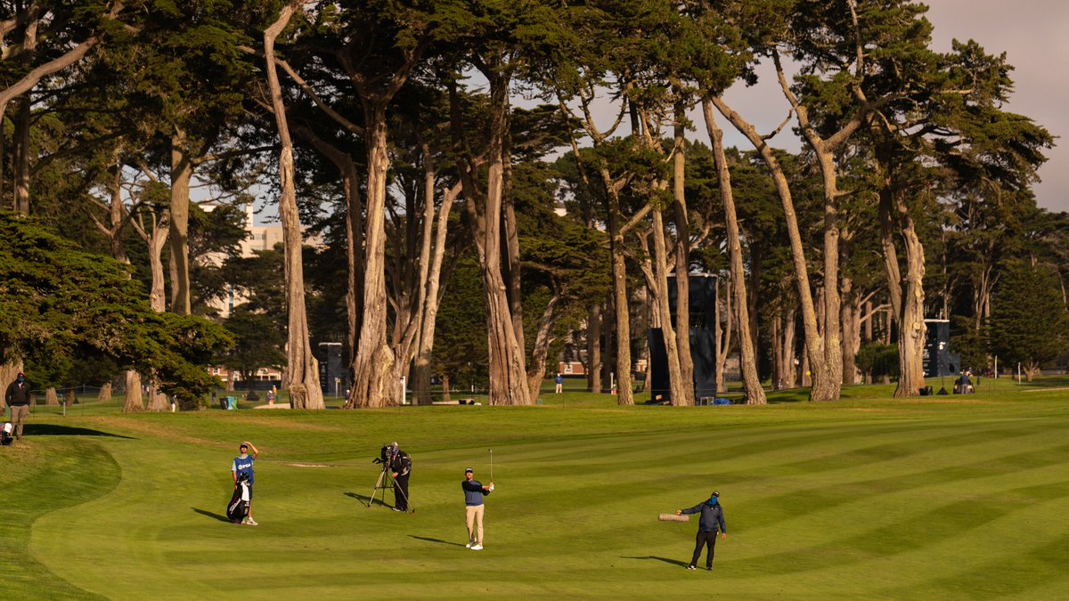 Thankful.
*
As we approach Thanksgiving week, it feels right to remind our fans just how much gratitude we have for the countless parties around the world that made the 2020 PGA Championship at <a href="/TPCHardingPark/">TPC Harding Park</a> possible.  #ThankYou