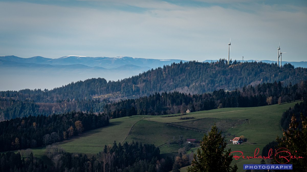 bernhardrein's tweet photo. Besuch im Schwarzwald: Was für ein tolles #Licht #Schatten und #Nebel - Spiel 
#hello_worldpics #awesomepix #visitgermany #visit_germany #blackforest #schwarzwaldtourismus #visitblackforest #bernhard_rein #rust_heimat #reportage #expedition_heimat #lumix #schwarzwald https://t.co/0z3MnWns4k
