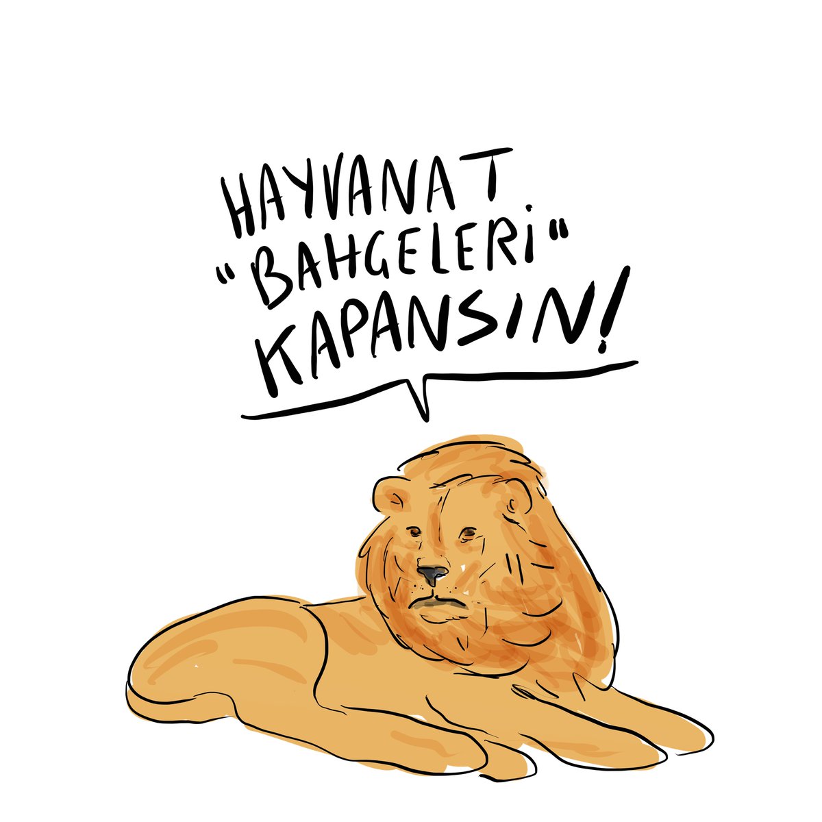 Türkiye’de Hayvanlar için müebbet hapis anlamına gelen hayvanat bahçeleri yasaklanmalıdır. Mevcut hayvanat bahçeleri yaban hayatı kurtarma ve rehabilitasyon merkezine dönüştürülmelidir. #YasaHemen