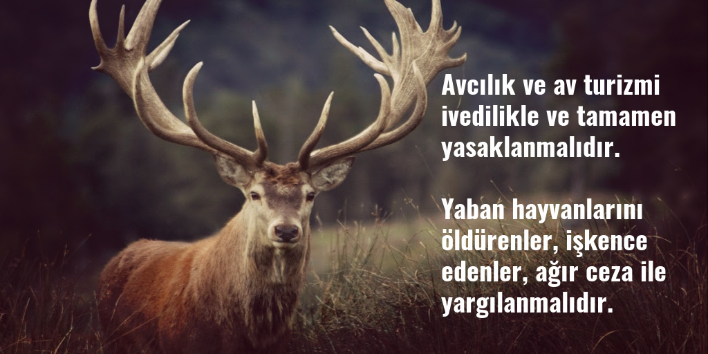 hakim_komite's tweet photo. Bir hayvanı öldürmek spor, hobi, eğlence, turizm geliri olamaz. Bir canlıyı öldürmeye sadece cinayet denir. Av cinayettir. #YasaHemen https://t.co/KVyexHkFoe
