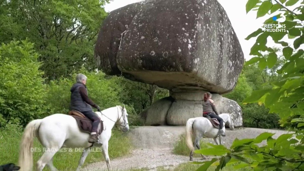 #Valorisation du #Territoire
La semaine passée, le <a href="/PNRHL/">PNR du Haut-Languedoc</a> était à l'honneur de l'émission Des racines et des ailes entre #Tarn et Garonne sur France 3 : direction la #laine de la Montagne Noire et les forêts de #granite du #Sidobre.
🔴 Retrouvez le replay: bit.ly/333Xd04