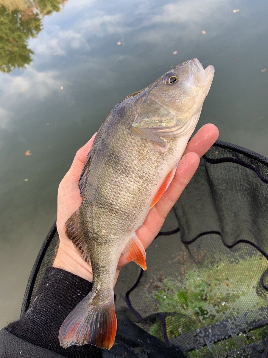 25timbruce's tweet photo. Lovely few hours on the caster today 😊😍🎣 https://t.co/MRDZemddnQ