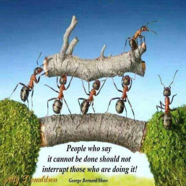 agabatwit's tweet photo. https://t.co/E4gYJ7N3sV