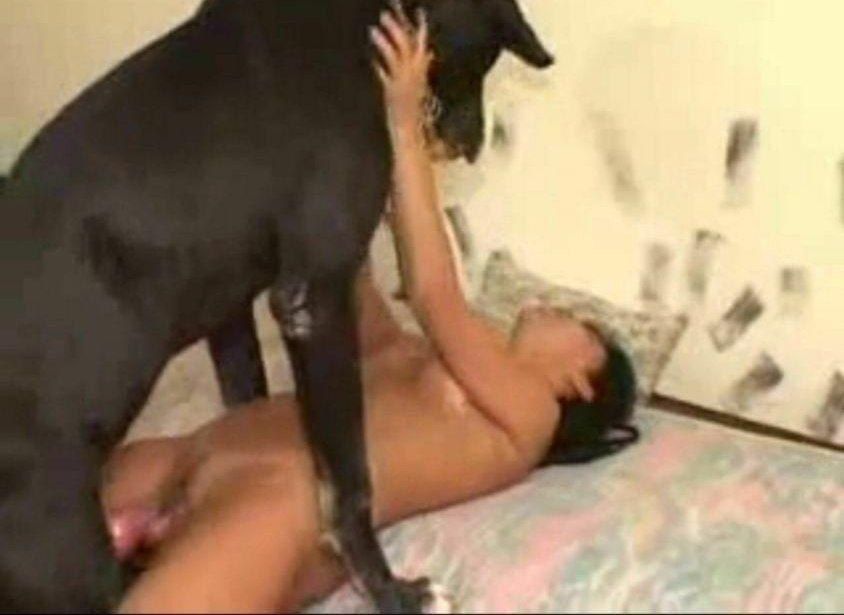 Sadık köpek sahibinin ammcığını sikerek vefa borcunu ödüyor 😁🍑🍑
Video linkte 
⬇️⬇️
ay.link/Zqer

türbanlı türk porno sex amcık #ifşa #türkifşa sikiş sakso ensest liseli lezbiyen seks amatör usa american germany erotic