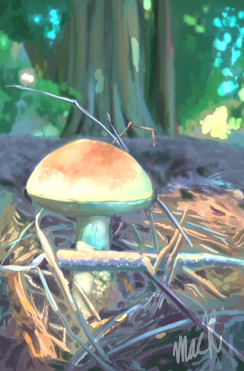 MacRepman's tweet photo. Mushroom I dun gone n painted a while back. https://t.co/hVRdWWXZLs