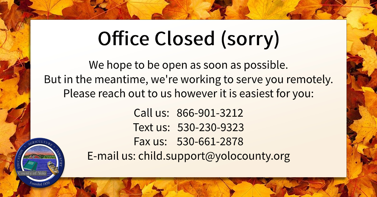 Yolo County DCSS tweet media