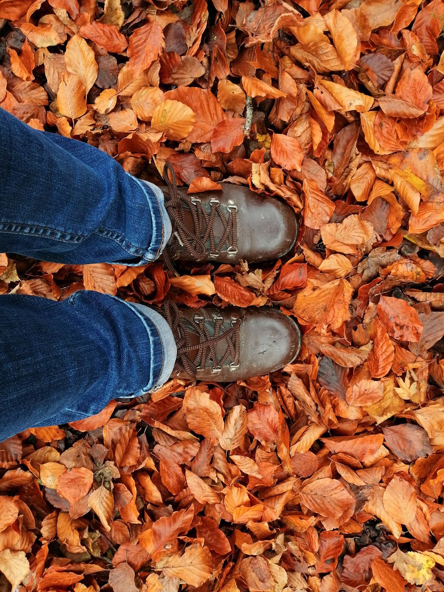 AimeeJones01's tweet photo. Beautiful morning woodland walk. So lucky to have such beautiful countryside within walking distance. #familytime #relaxation #muddybottom #fall https://t.co/LiVKuiPfiX