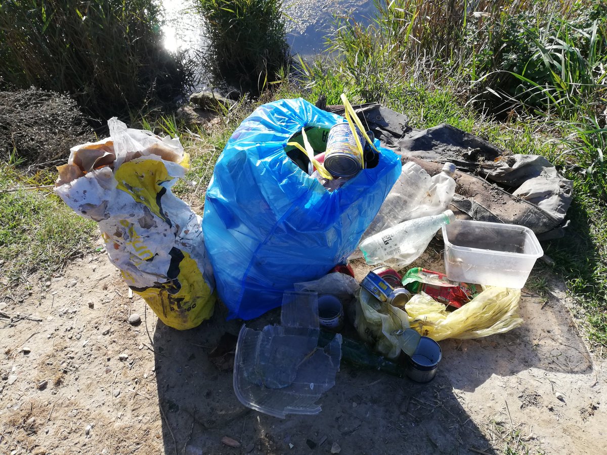 krisbarnolas's tweet photo. Recollint deixalles dels altres a Deltebre,Parc Natural. Qui és responsable de tota aquesta brutícia a la natura? @ajdeltebre @lluis_soler @ActivemDeltebre @TurismeDeltebre @joancastor2011 @TGNdigital  @CanalAjuntament @_seo_ebre_ @ErcDeltebre @ERC_MesDeltebre @Enlairem #deltebre https://t.co/5MGF8OTlrk