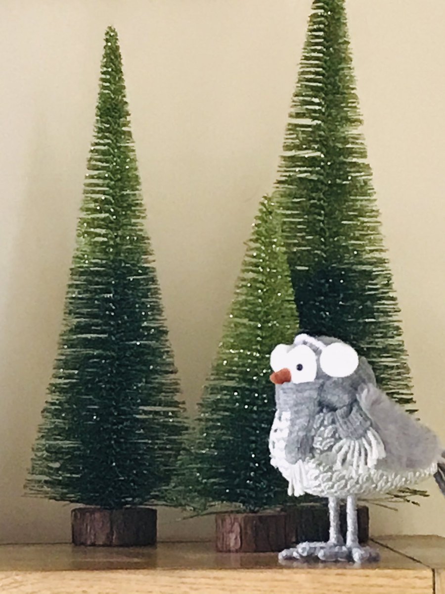 CycleKatieLou's tweet photo. Christmas is coming 🎄 https://t.co/Xfm9NB9EC1