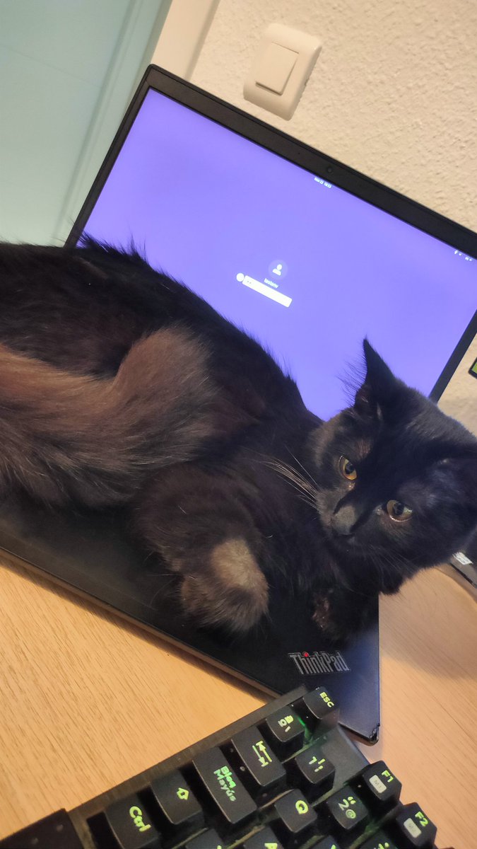 Hackercat