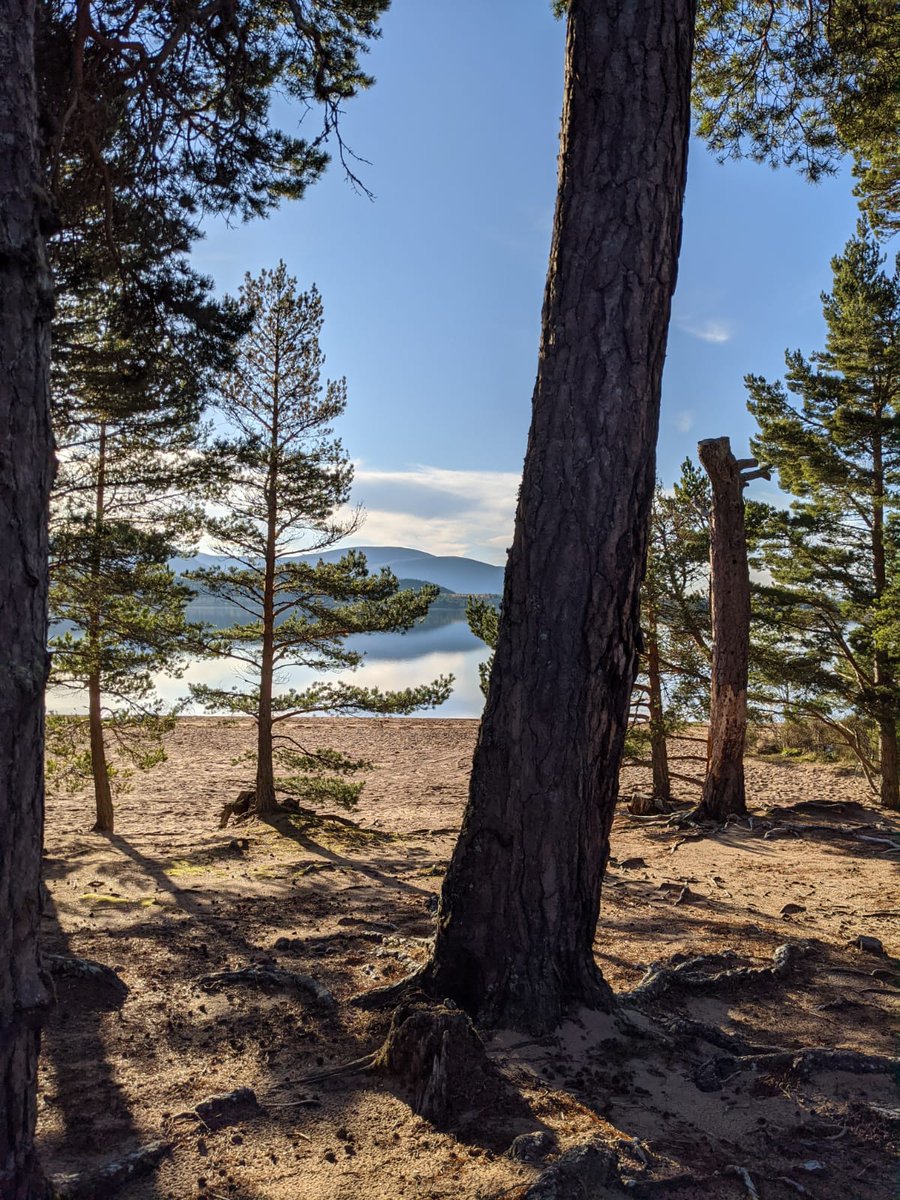 PJAcoustics's tweet photo. Some stunning photos for one of our engineers after a survey near Inverness recently, you would think we've expanded to Canada!

https://t.co/5fLaHmXDiU https://t.co/Zbxzeocxzk