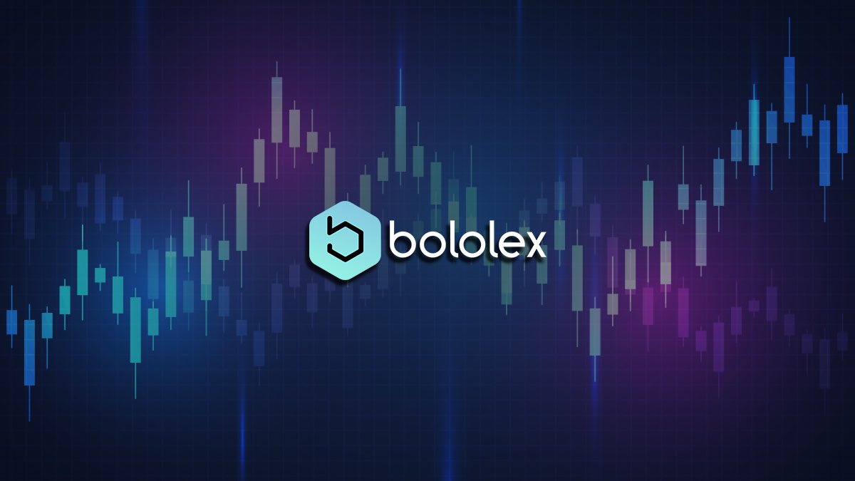 Netko $NETKO tweet media