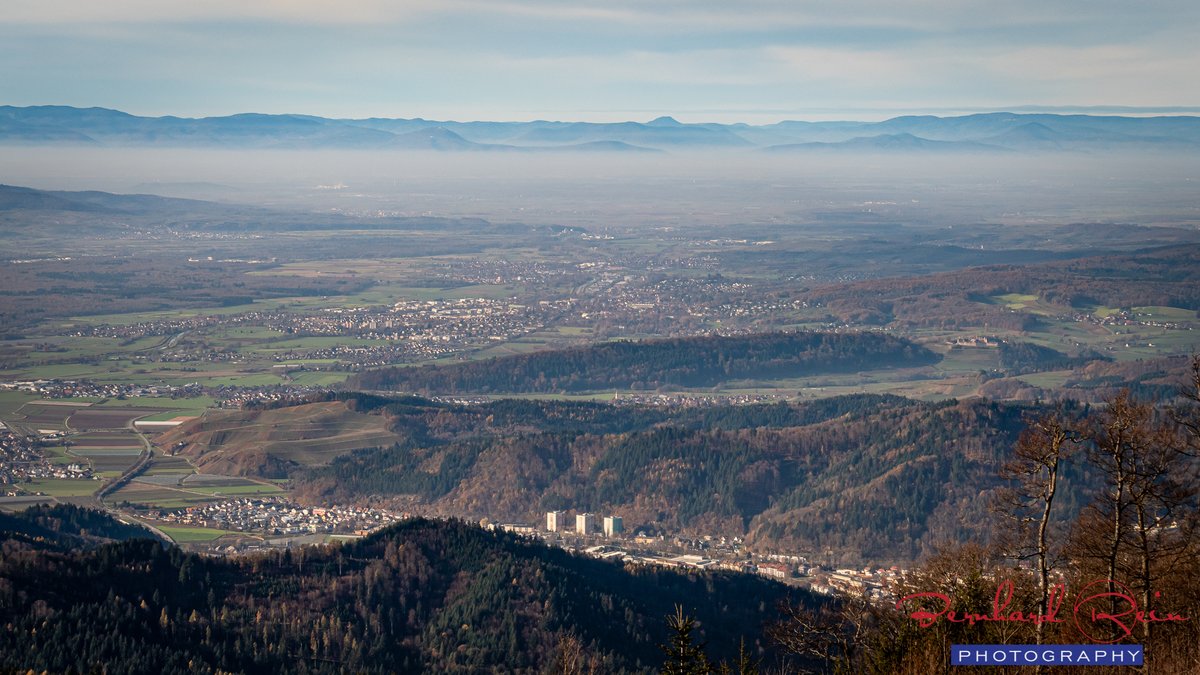 bernhardrein's tweet photo. Besuch im Schwarzwald: Was für ein tolles #Licht #Schatten und #Nebel - Spiel 

#hello_worldpics #awesomepix #visitgermany #visit_germany #blackforest #schwarzwaldtourismus #visitblackforest #bernhard_rein #rust_heimat #reportage #expedition_heimat #lumix #schwarzwald https://t.co/M98jivgpWI