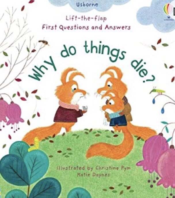 @thisladywill @CBNtweets @GriefUK @GriefChatUK @goodgrieftrust @cbukhelp @_LisaCherry This is also a great one for younger children. Gives children the option to look at questions (by lifting the flap) they are wondering about and helps guide the adults around them to what they may need more help to understand.