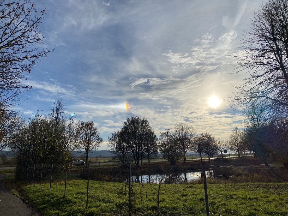 JereWerner tweet media