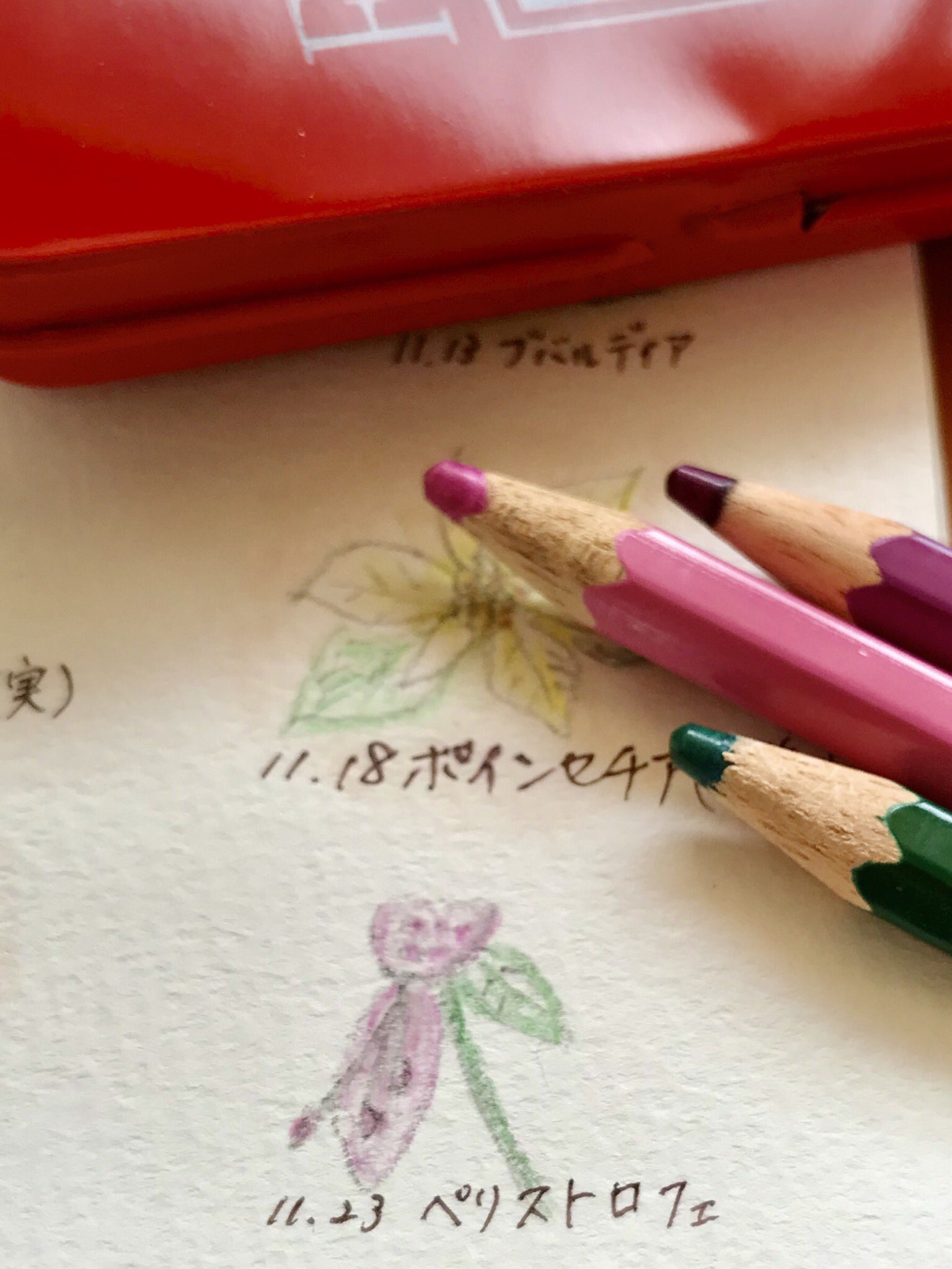11月23日誕生日 Twitter Search Twitter