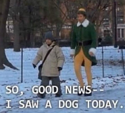 WholesomeMemes (@wholesomememe) on Twitter photo 