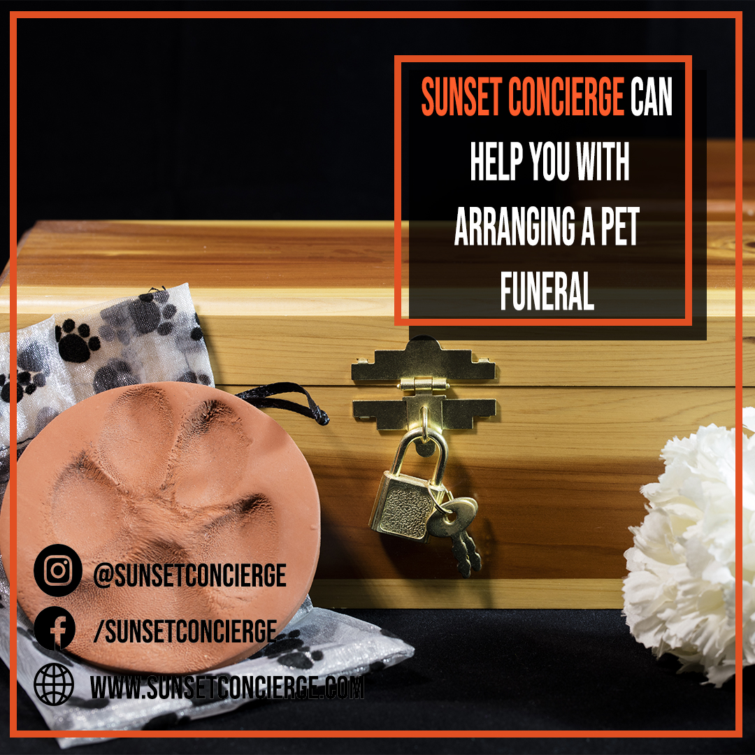 griefessions's tweet photo. Sunset Concierge can help you with arranging a pet funeral.

#sunsetconcierge #made2blossom #sandwichgeneration #entrepreneur #work  #instagram #ads #follow #funeral #funeralplanning #death#rip #georgia #atlanta #atlantaga #grief #home #pet #cat #dog #petfuneral #petcemetery https://t.co/DVal3yxYtn