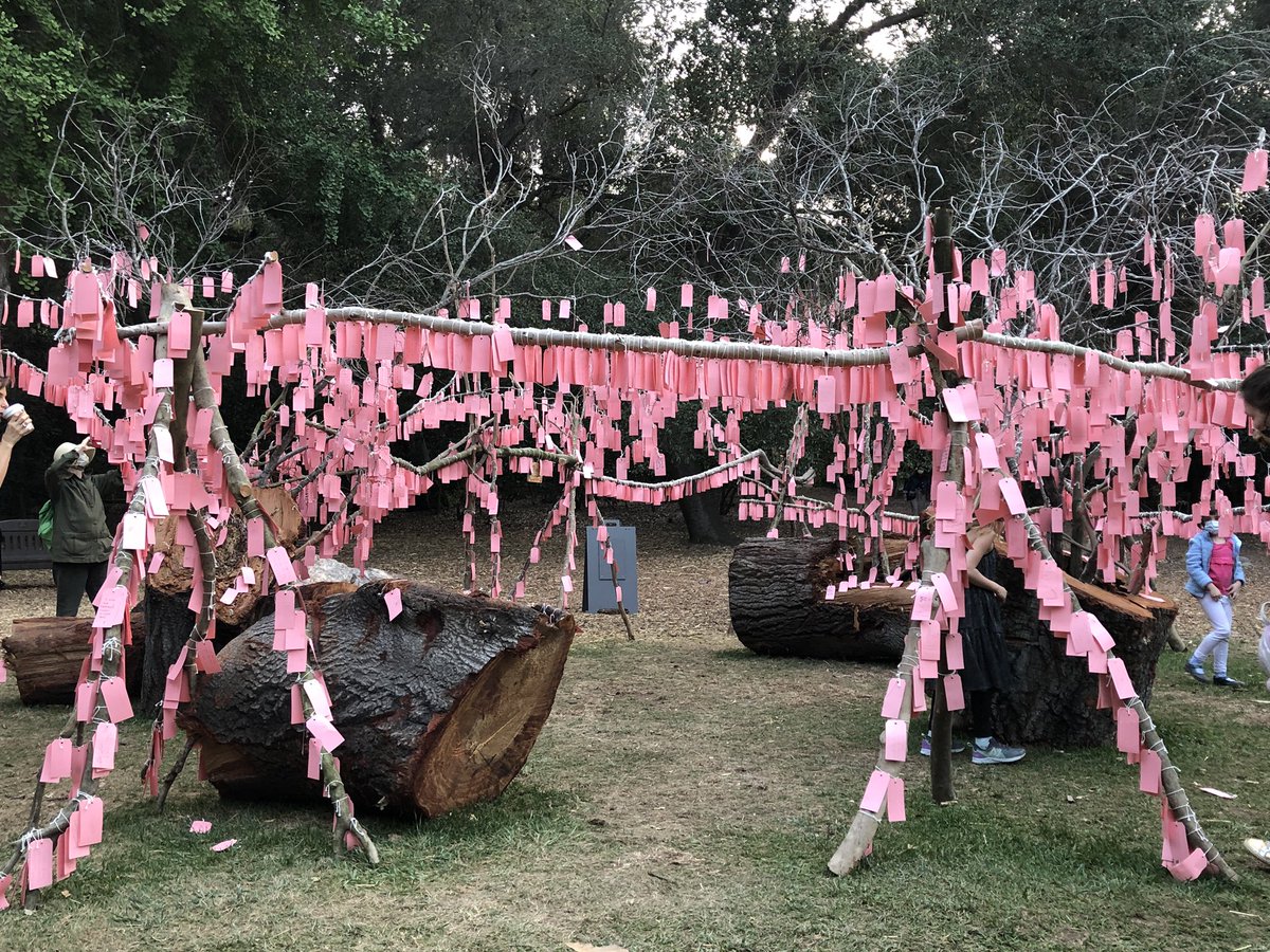 jennifermjkim's tweet photo. The wishing tree at @DescansoGardens Iโll capture some more wishes on another visit. #mydayinla #writerbreak https://t.co/j9lbwzULrx