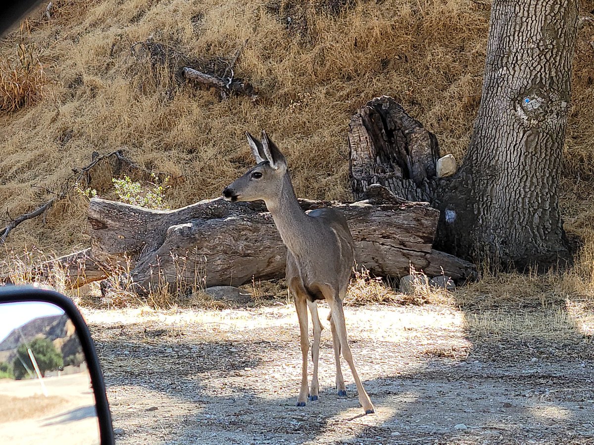 WitzRealEstate's tweet photo. It was an exhausting, but excellent, day. 🚶‍♀️🌄🦌🥴 #RealtorLife #WitzRealEstate #newlisting #12Acres #JustListed #MarketingMatters https://t.co/5I9kutsuQB